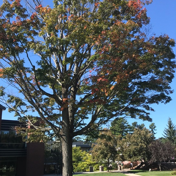 Meet your Posher, Hazel - Picture 1 of 1